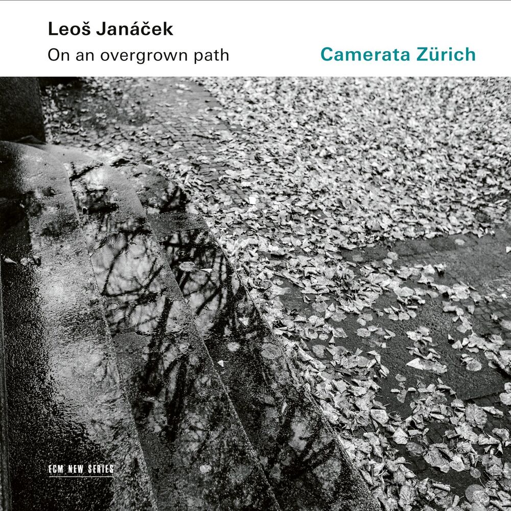 Picture of Camerata Zürich