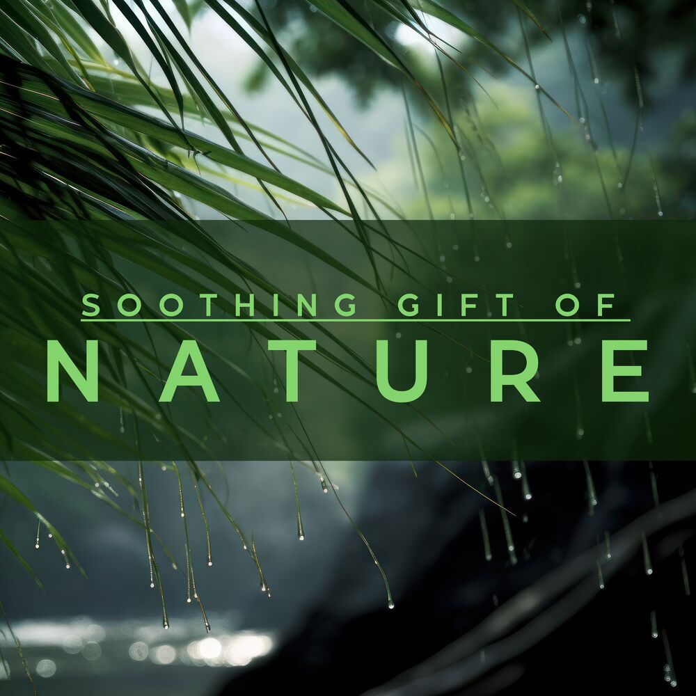 Picture of Rain Sounds XLE Library