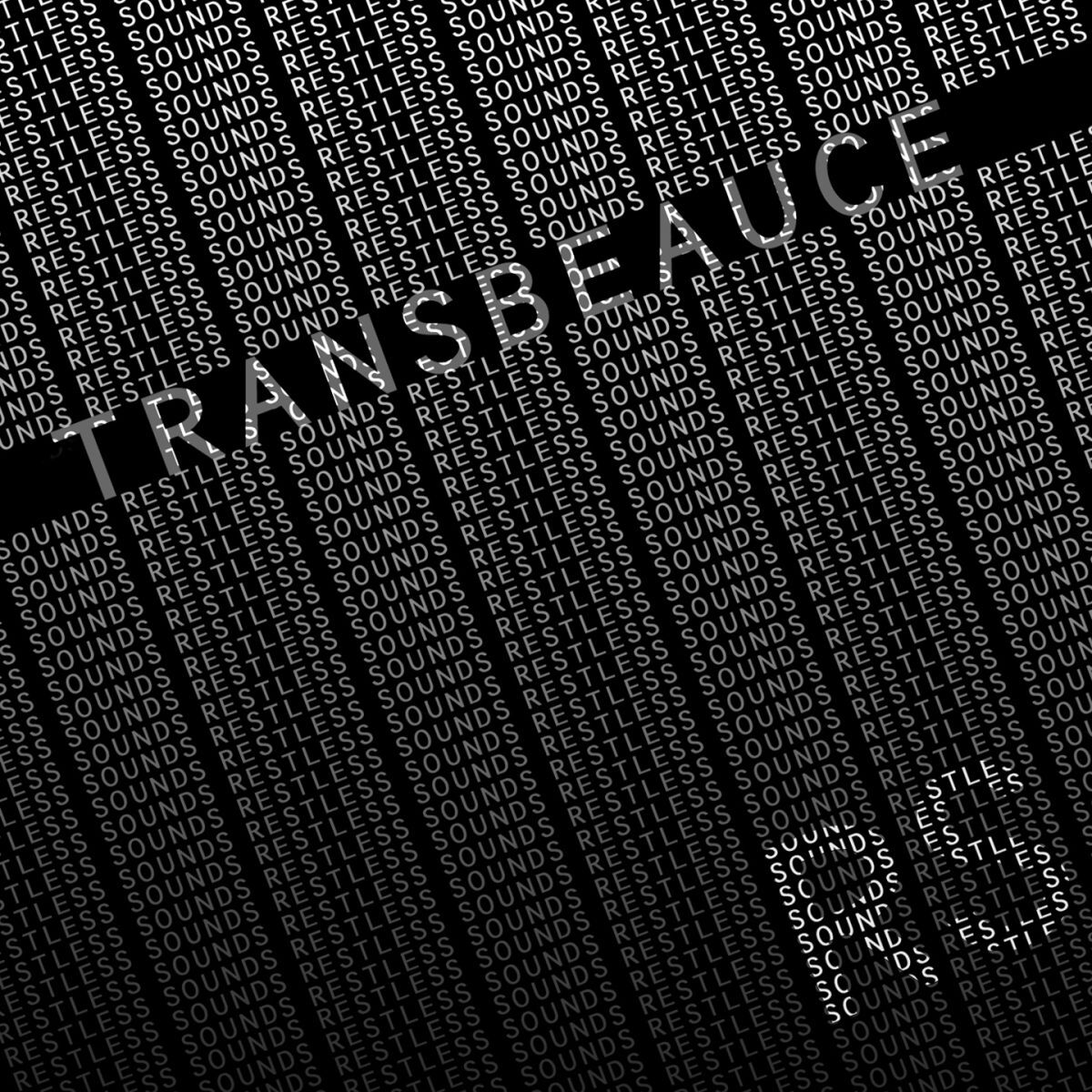 Artist picture of Transbeauce