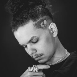 Picture of Vk Mac