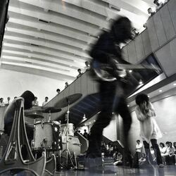 Picture of Flower Travellin' Band