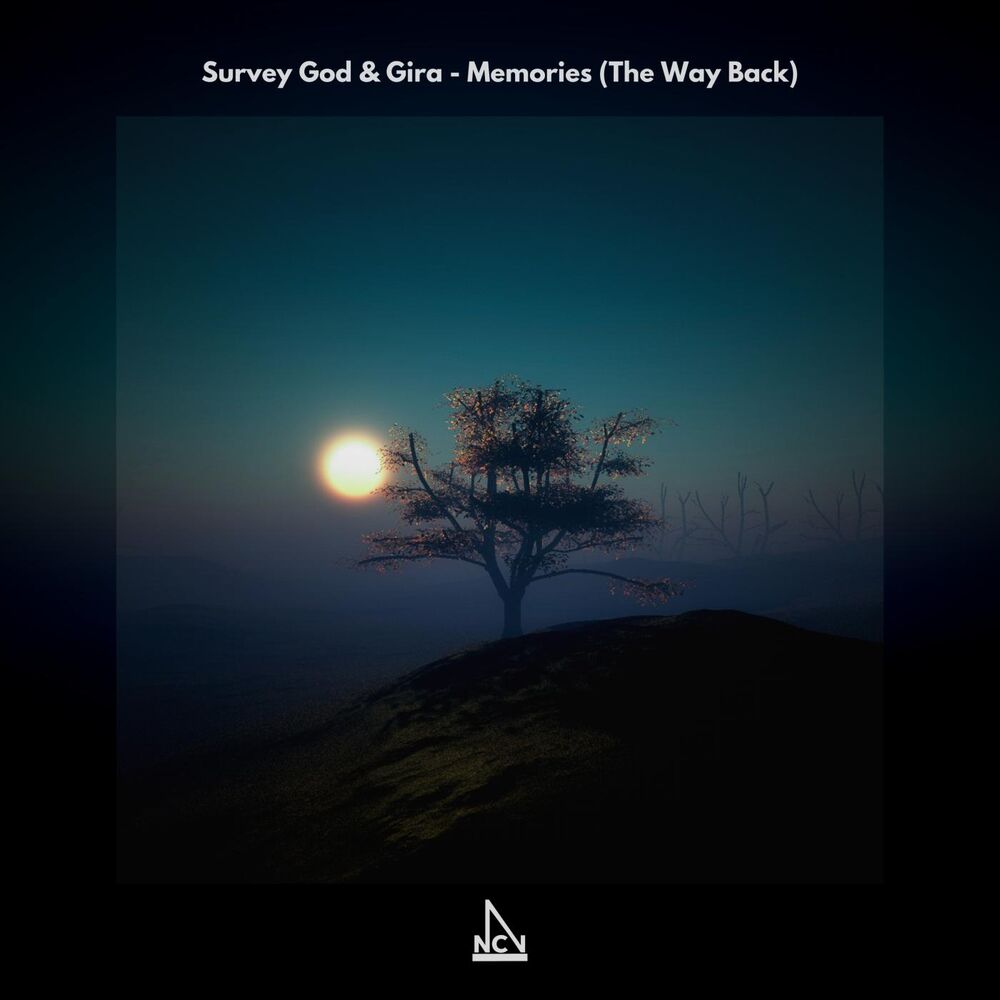 Picture of Survey God