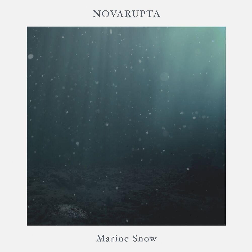 Picture of Novarupta