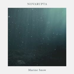 Picture of Novarupta