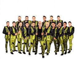 Picture of Banda Caña Verde