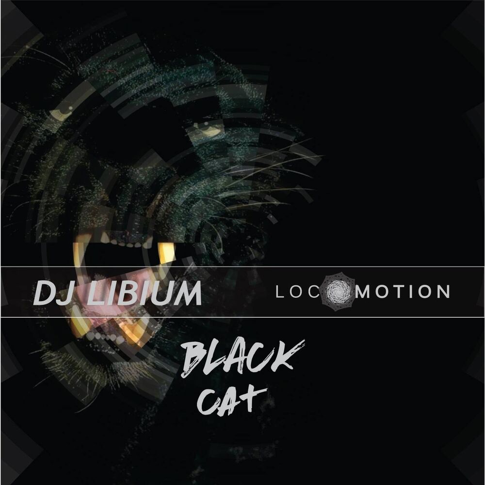 Picture of DJ Libium