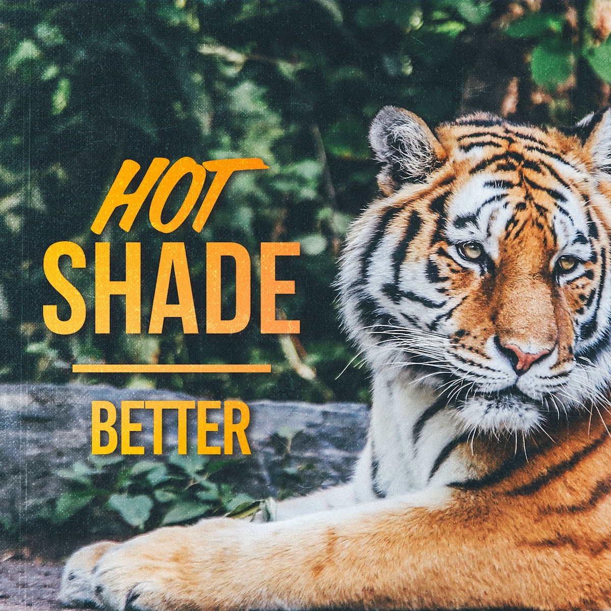 Artist picture of Hot Shade