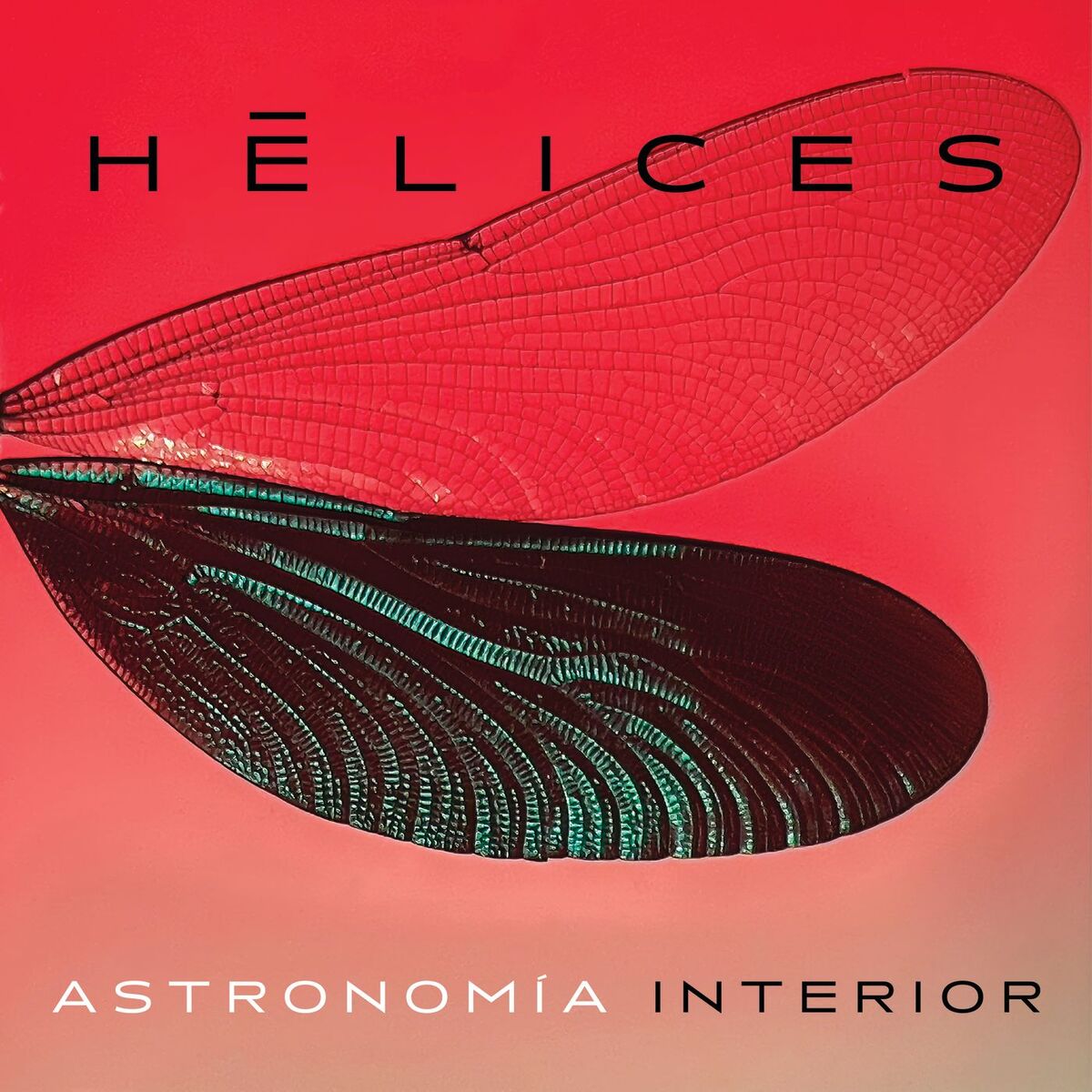 Astronomía Interior
