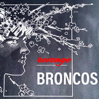 Broncos