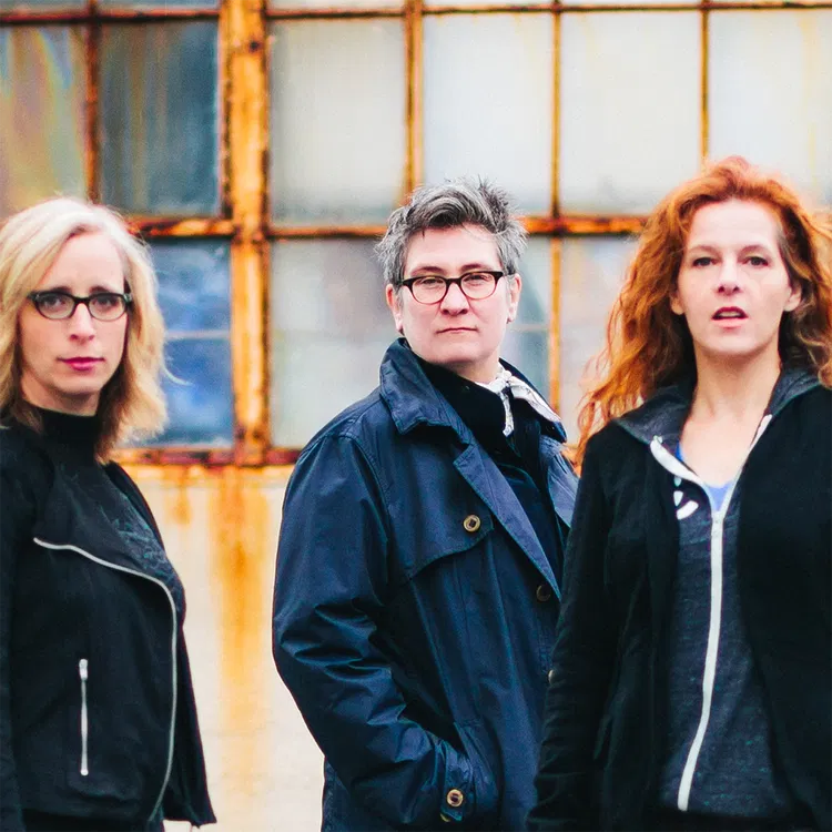 Case/lang/veirs