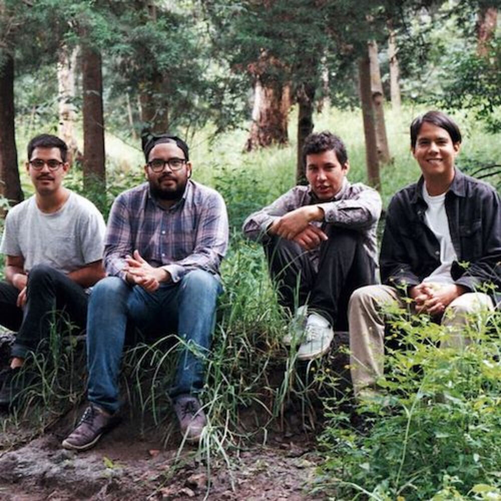 Picture of Los Blenders