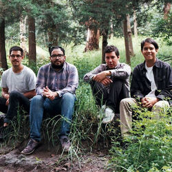 Picture of Los Blenders