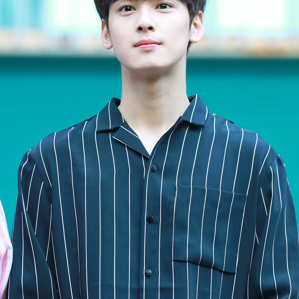 Picture of Cha Eun Woo