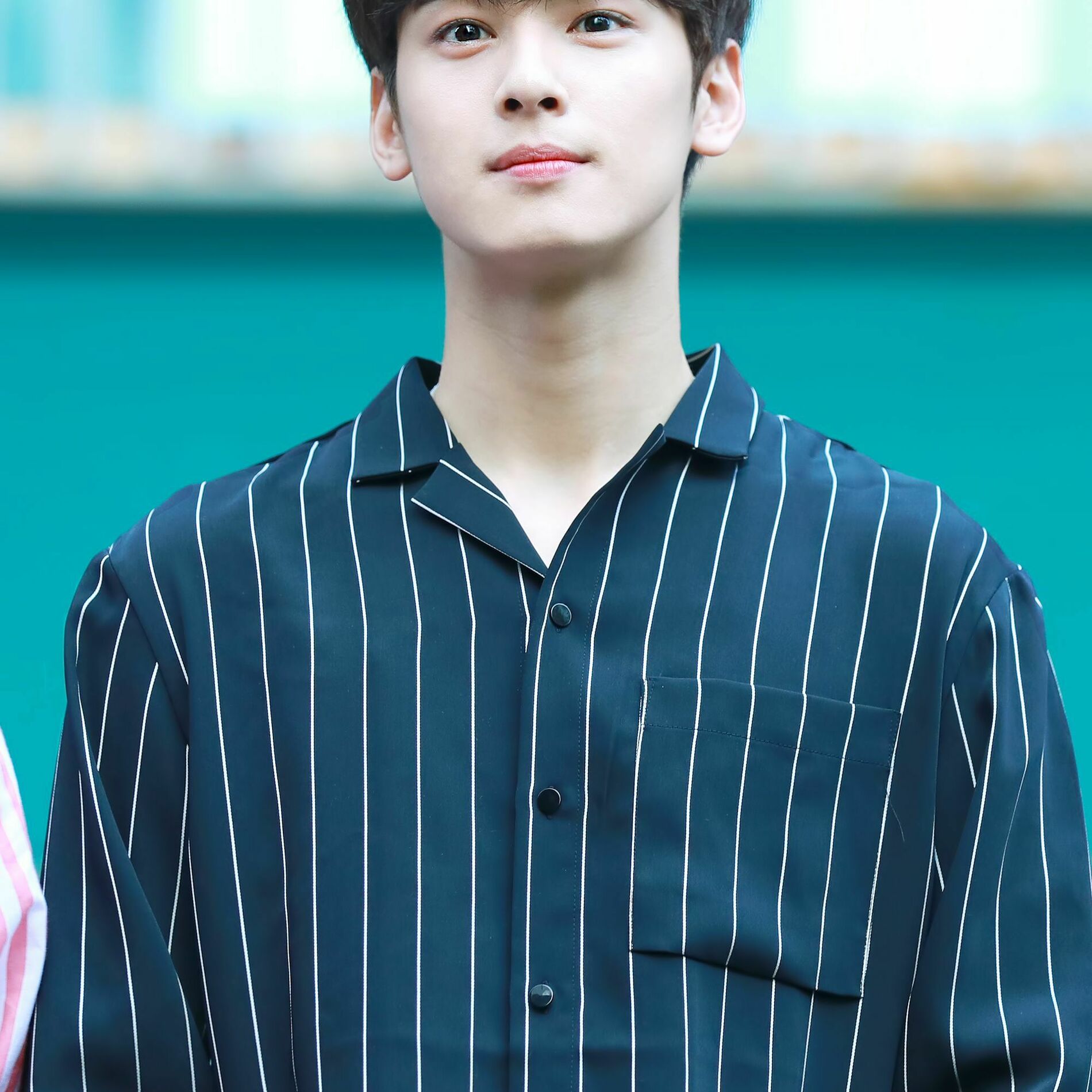 Cha Eun Woo
