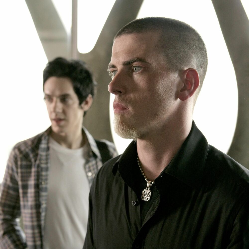 Picture of Taproot