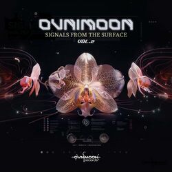 Picture of Ovnimoon