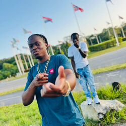 Picture of Teko