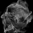 Bruit ≤