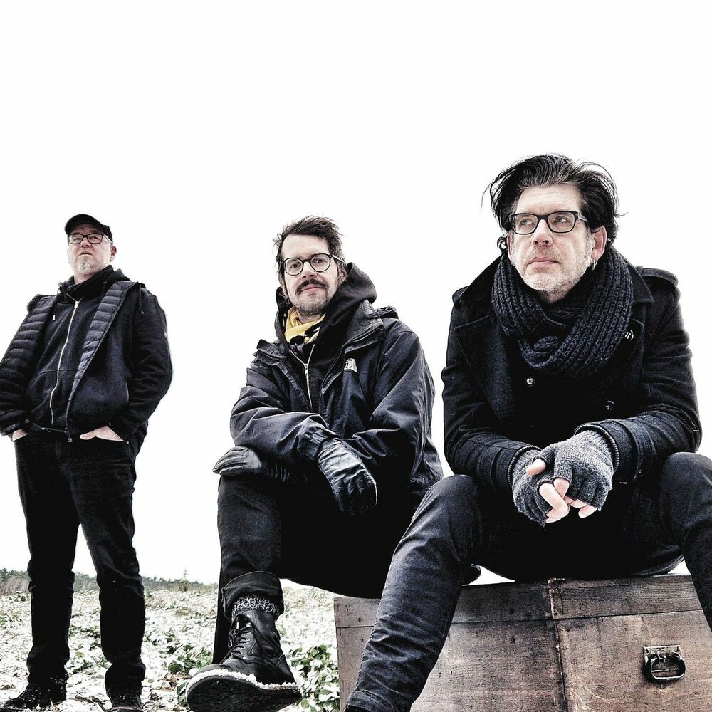 Picture of Golden Apes