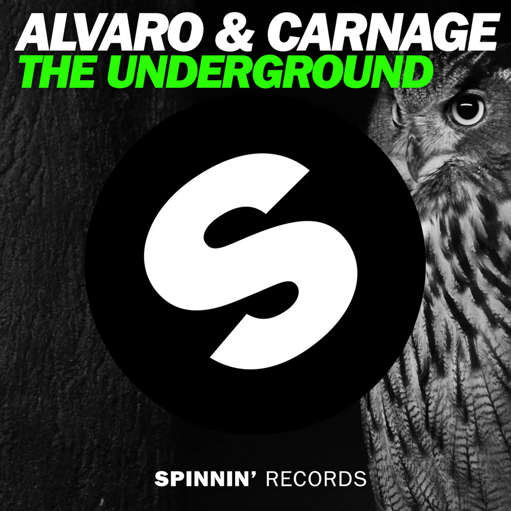 Picture of Alvero