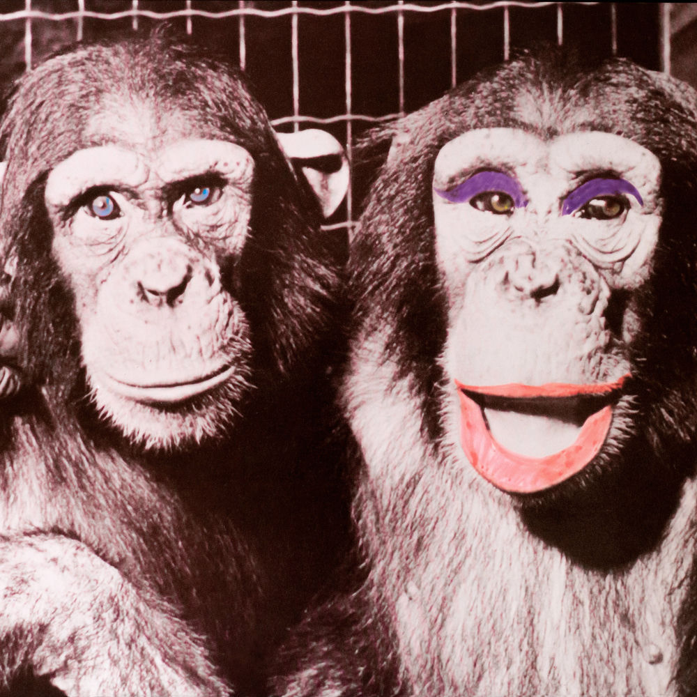 Photo de l'artiste Marco Attali