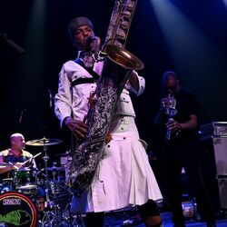 Picture of Fishbone