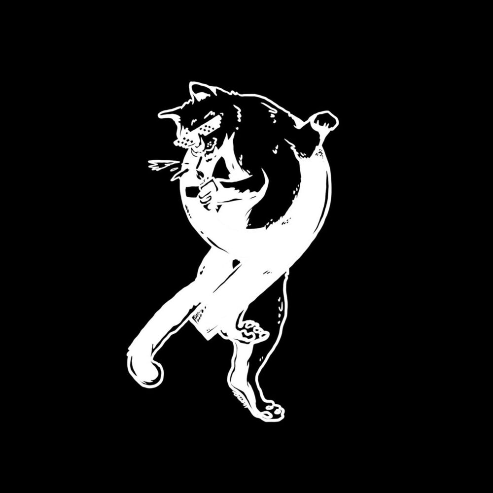 Picture of Black Cat