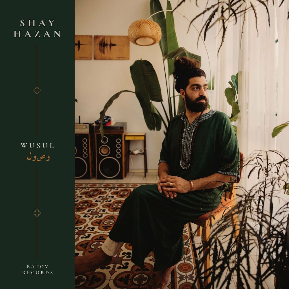 Picture of Shay Hazan