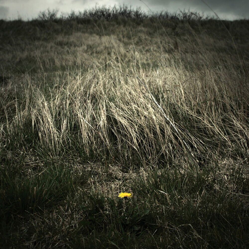 Picture of The North Sea