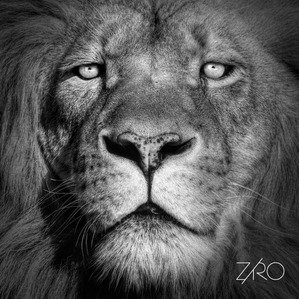 Picture of Ziro