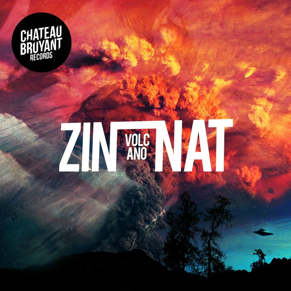 Picture of Zinnat