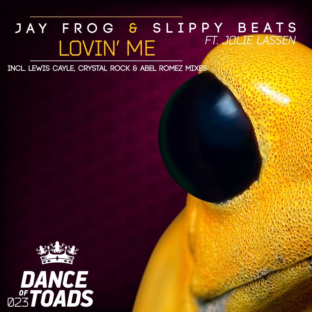 Picture of Slippy Beats