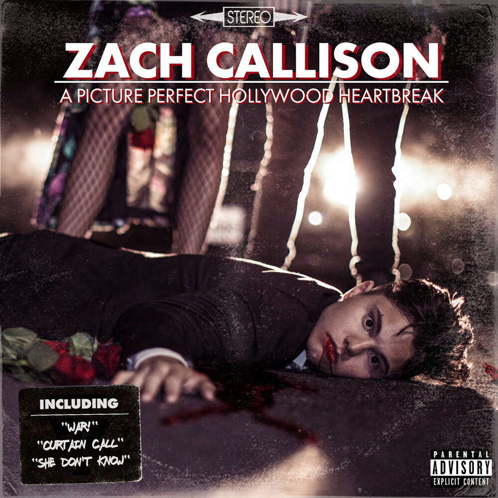 Picture of Zach Callison
