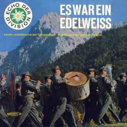 Picture of Musikkorps der 1. Gebirgsdivision Garmisch-Partenkirchen