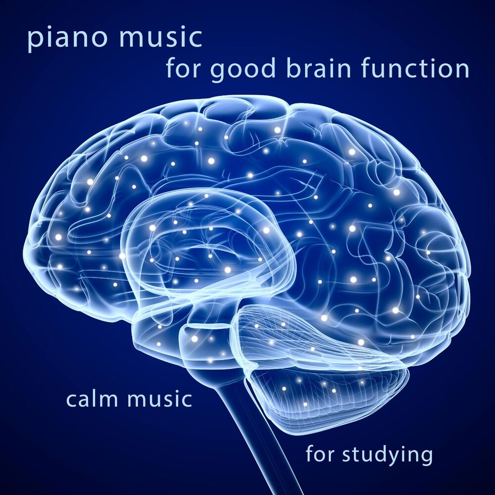Picture of Calm Music for Studying