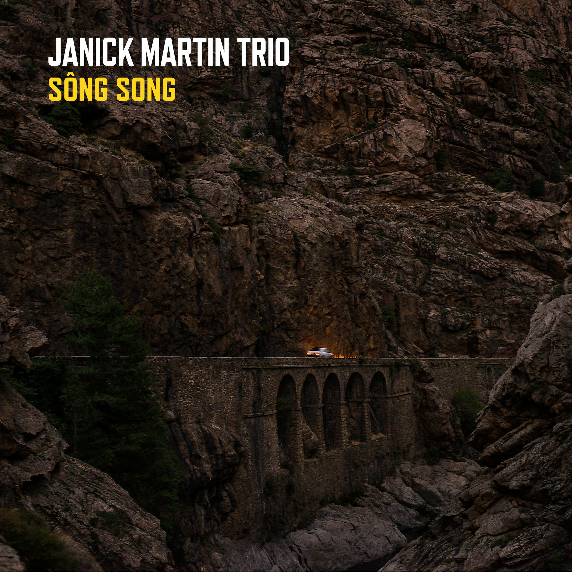 Janick Martin trio