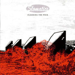 Picture of Slomatics