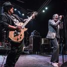 The Dickies