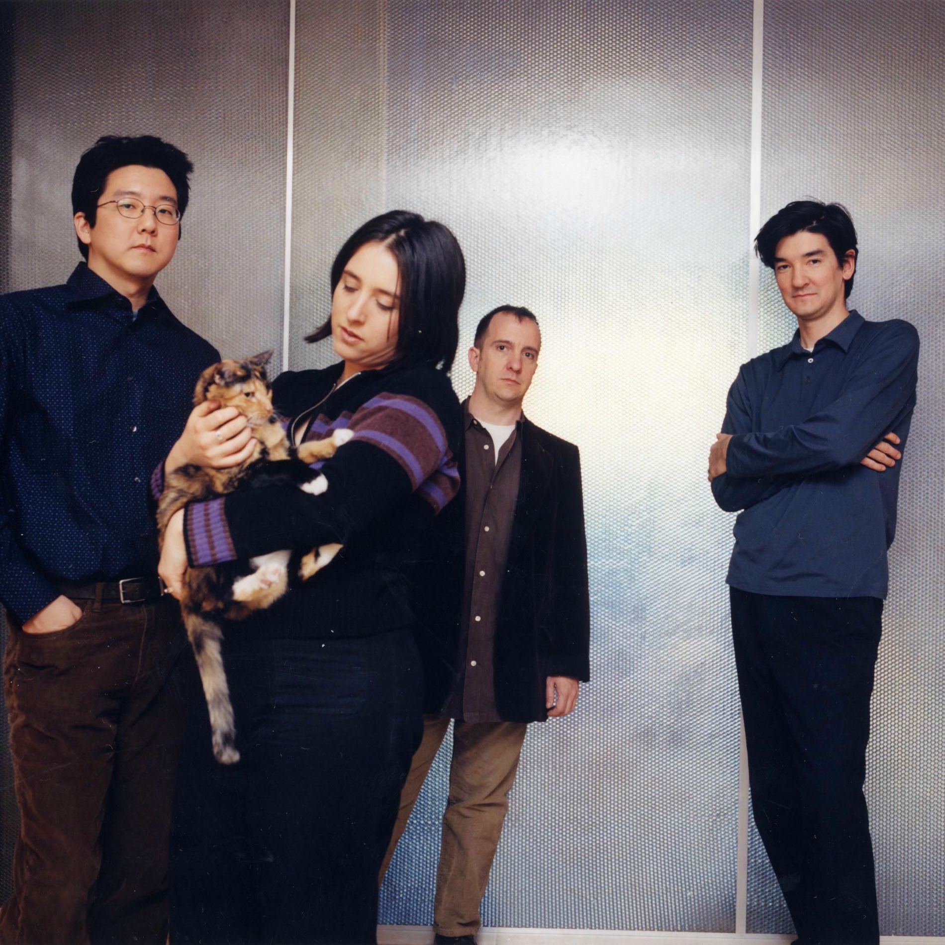 The Magnetic Fields