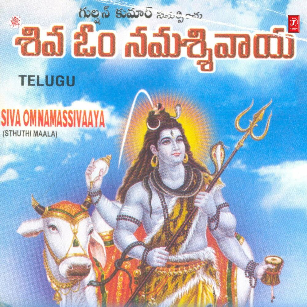 Picture of Partha Saradhi
