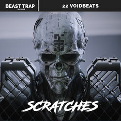 Picture of 22 Void Beats