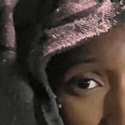 Picture of Meech20x50