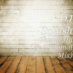Picture of DJ Splash