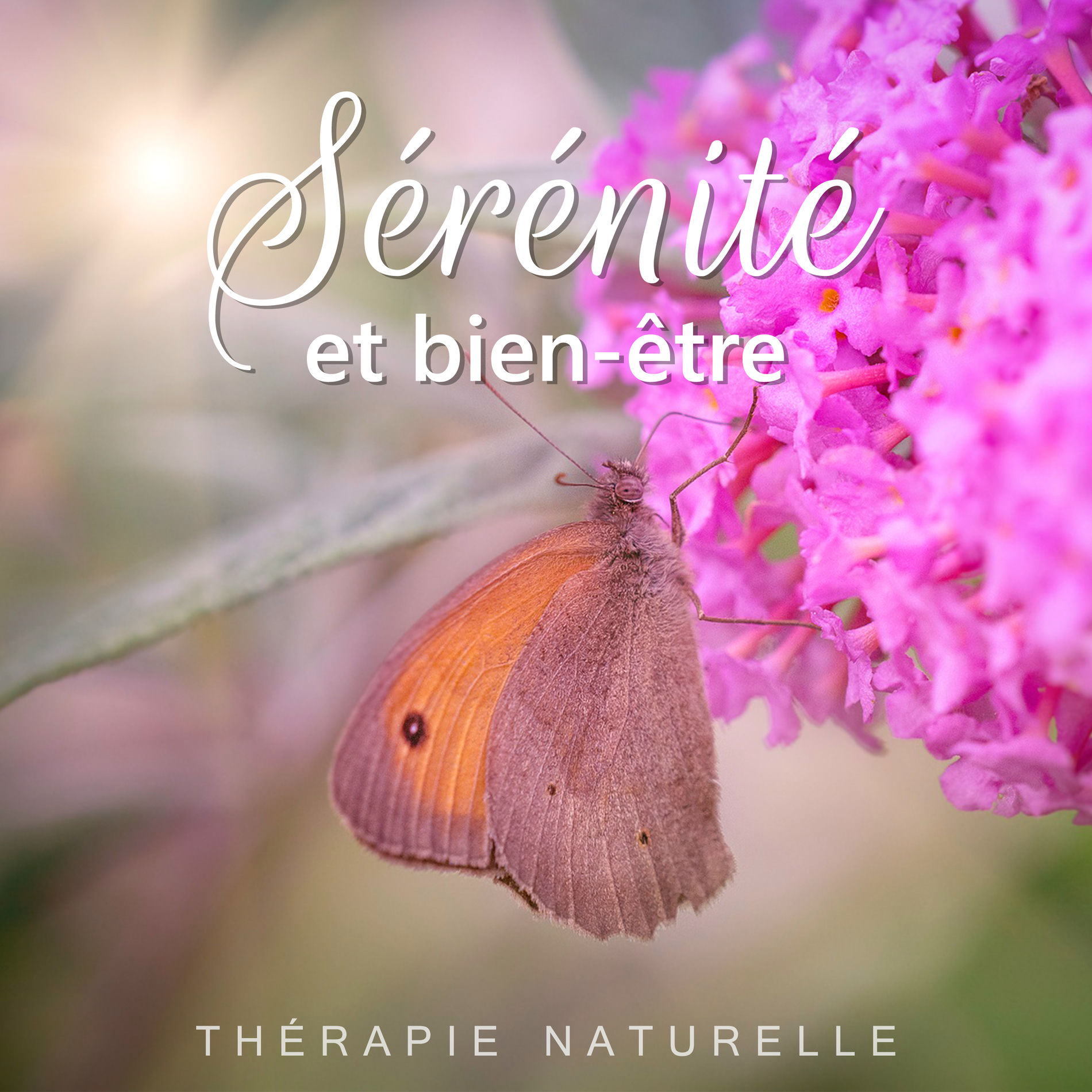 Zone de la musique zen