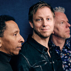 Picture of Tingvall Trio