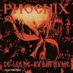 Picture of Phoenix
