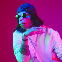 Picture of Kid Noize