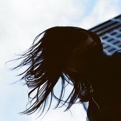 Picture of LLLL