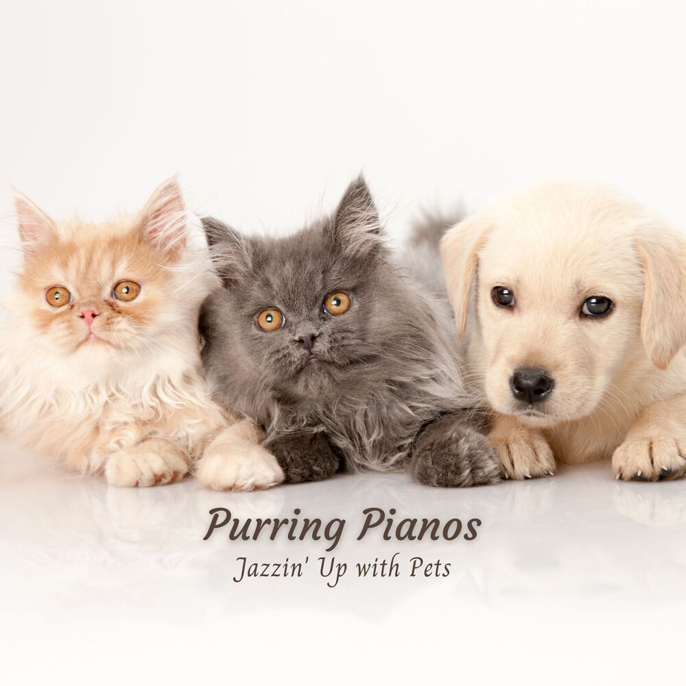 Picture of #Pianoclassico
