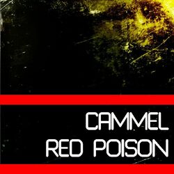 Picture of Cammel